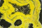 Very Vibrant, Free-Standing Polished Bumblebee Jasper #358624-1